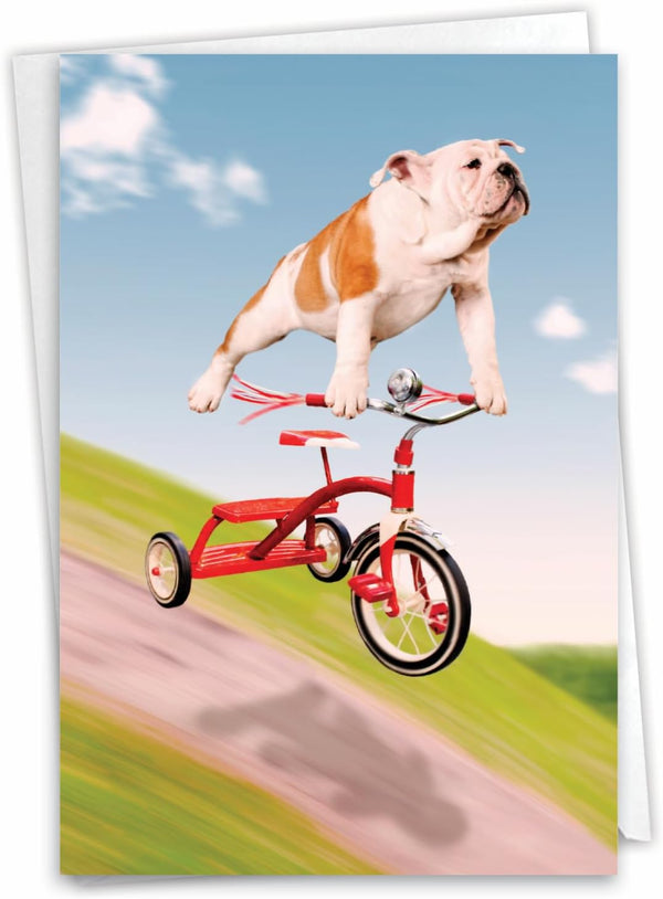 NobleWorks Adorable Birthday Card, Funny Pet Dog Animal Humor, Bday Notecard with Envelope