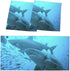 WYNIM 2 Pack School,4 2 Marine Animal Fluorescent Light Cover for Ceiling Light - Magnetic Light Covers Classroom