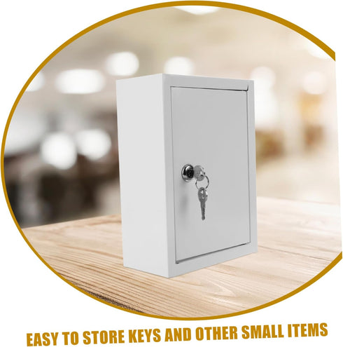 Mailbox Package Mipcase Wall Mounted Milk Box with Lock Durable Outdoor for Home Compact Design for Milk Storage