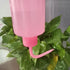Professional 250ml Tattoo Wash Bottle 8oz (Pink), Narrow Mouth Squeeze Bottle for Medical Lab Irrigation