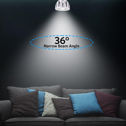 PAR20 2 Pack LED Bulbs, 12W Dimmable Spot Light, 100W Halogen Equivalent, 6000K Cool White E26 Medium Base