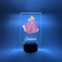 Mirror Mania Store 16 Princess Beauty Dress Night Light Up LED Desk Table Lamp Personalized Free Engraved Made