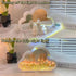 (20 LOGAZOO Flower) Tulip Lamp Night Light with Mirror, Assembled Artificial Flower Lamp Table Light Bedroom Decoration