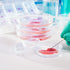 100 Pack - 18G 1 Inch Sterile Dispensing Needle with Luer Lock for Scientific Laboratory, Plant Cultivation Research