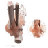 HUBERY MODEL Foot Joint Model Human Foot Ankle Joint Model with Ligament Medical Science Life Size