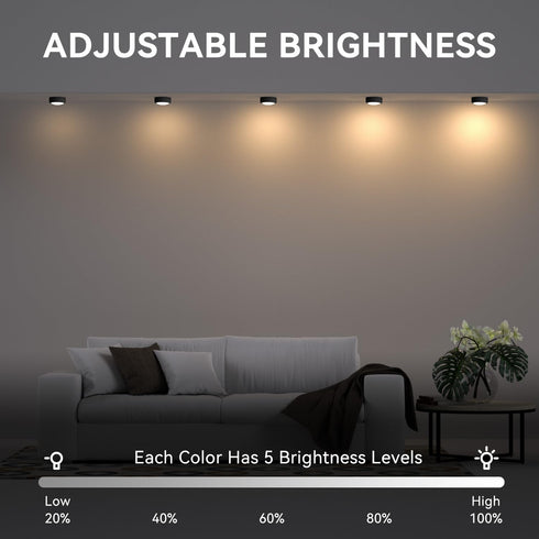 BESTDLCLITE 13-Color Dimmable Closet/Shelf/Wall (Black-6 Pack) LED Puck Lights with Remote, Under Cabinet Lighting