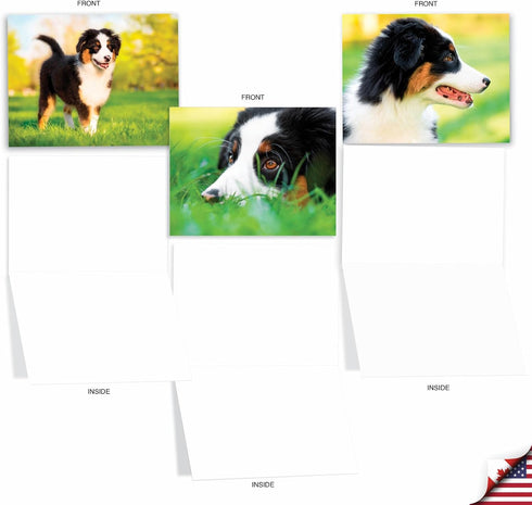 The Best Card Company - 10 Adorable Blank Dog Cards, Assorted Pet Breeds, Boxed Set, 4 x 5.12 Inch, Awesome Australian