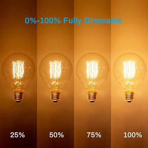 New Lights G25 Bulb, 60W Bulb, Bulb, Dimmable Bulbs, 2100K White,E26, 6 Pack Globe Edison Light Vintage Round Edison
