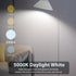 dalattin 12 Pack A19 LED Bulbs, 9W Equivalent 60 Watts, 5000K Daylight, 800 LM