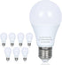 8 Pack LED Light Bulbs, 100 Watt Equivalent, Efficient 13W, Daylight White 5000K, E26 Medium Base, Non-Dimmable