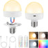 Rechargeable Battery Operated Light Bulbs with Remote Control, 15 Color Temperature, Dimmable,