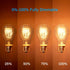 New Lights Bulbs, 60 A19 Bulbs, Dimmable Bulbs, 2100K E26 6 Pack Warm Edison Light Watt Vintage Incandescent Light