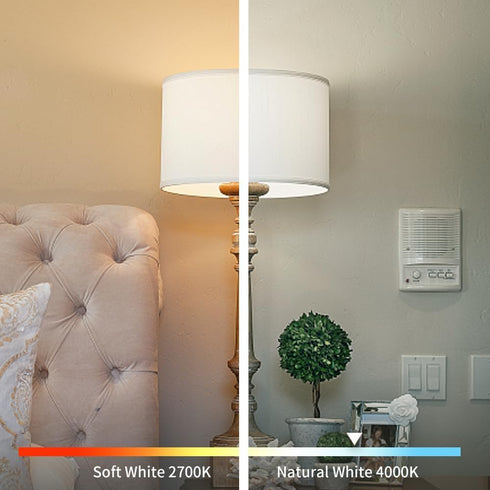 4Pack 6W ST58 Bulbs 60W 600Lumens, 2700K Bulb, Dimmable, E26 Bulbs, 80+ Vintage LED Edison Light Equivalent, Warm White