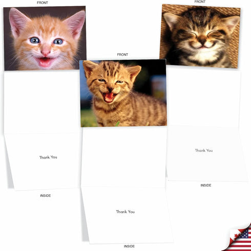 The Best Card Company 10 Assorted Thank You Notes Bulk Box Set with Envelopes (10 Designs, 1 Each) Smitten Kittens