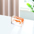 GARVALON Artificial Resin Shrimp Specimen for Education and Home Collection Teaching Tool for Science Class Decorative