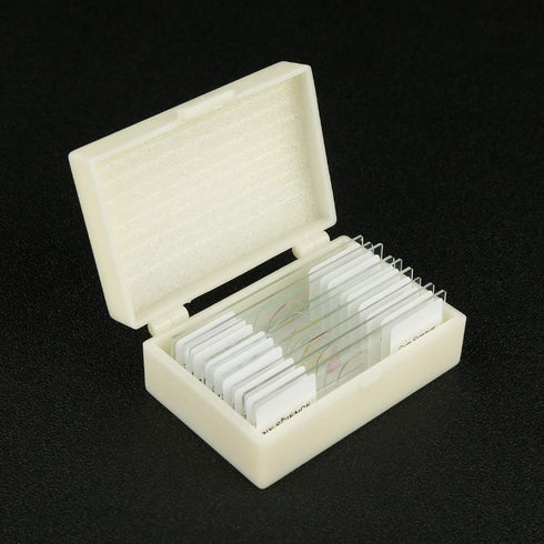 Prepared Bacteria and Fungi Microscope Slide Set, 9pcs for Biology Education and Science Study