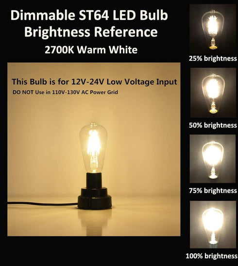 Low Voltage DC 12V/24V 6W LED Bulb, Edison Style ST21 Antique Shape, Warm White Light, 600LM, 3-Pack