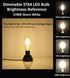 Low Voltage DC 12V/24V 6W LED Bulb, Edison Style ST21 Antique Shape, Warm White Light, 600LM, 3-Pack