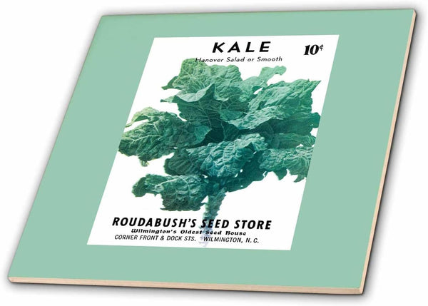 3dRose Kale Hanover Salad or Smooth Roudabushs Seed Store 12 Inch Ceramic