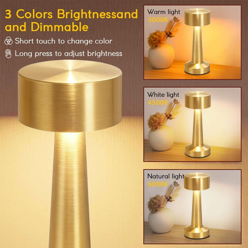 HPUFKOT 3-Levels Lamp,3 Portable LED Table Lamp, BrightnessMetal Desk Color Touch Control RechargeableLamp, Ideal
