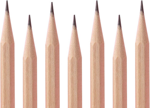 Buspoll 10 Stick HB Pencils, Unpainted Natural Wood Grain, Triangular for Kids Stationery