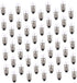 WHAMVOX 50Pcs Electrical Experiment Light Bulbs Screw Base School Supplies for Science Kits