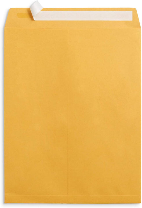 Blue Summit Supplies 100 10” x 13” Catalog Envelopes, Self Seal, For Mailing Catalogs, Magazines and Other Thick Documents, No Window, 28 lb Paper Envelopes, 100 Pack