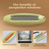 Sausage Scorer & Slicer - Stainless Steel Hot Dog Cutter for BBQ and Grilling (Pea Green)