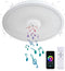 Smart Waterproof LED Flush Mount Ceiling Light Fixture,11 inch 18W,with Bluetooth Speaker,RGB