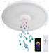 Smart Waterproof LED Flush Mount Ceiling Light Fixture,11 inch 18W,with Bluetooth Speaker,RGB