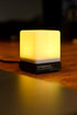 Embrava Blynclight Plus | Busy Light for The Office with Ringer