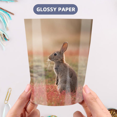 ZBEIVAN Photo Paper, 4x6, 5x7, 8.5x11 inch, Glossy Photo Paper, 150 Sheets for Inkjet Printer
