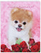 The Best Card Company Jumbo Valentine's Day Card (8.5 x 11 Inch) - Boo My Valentine Vday Greeting Card