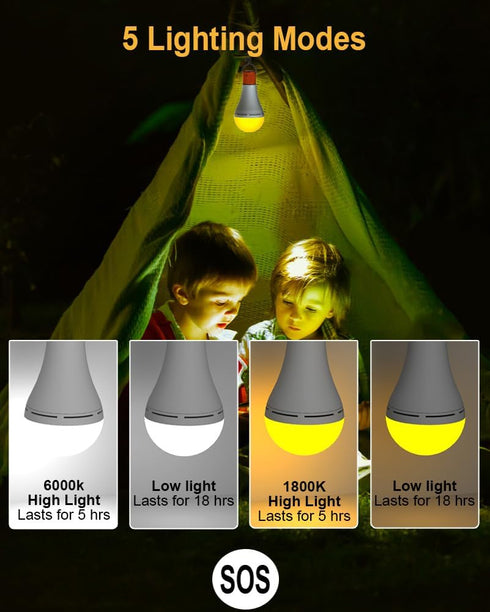 Bulbs 5 Light,1800mAh Bulb USB Rechargeable Light with Remote Timer, Light Modes, Daylight & Amber Rechargeable LED