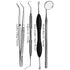 Professional Oral Care 4Pcs Tools Tartar Removal Scaler, College Tweezer, Explorer Probe