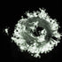 FULLBELL 33 100 LED Lights for Bedroom Flower String Lights Feets LED Memory String Lights Indoor Outdoor Fairy Lights