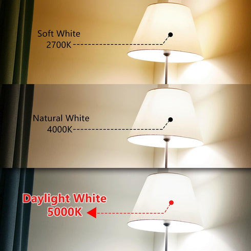 Dimmable LED Edison Bulbs, 6W Equivalent to 60W, E26 5000K ST58/ST19, 12 Pack Antique Flexible Spiral