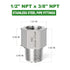 TAISHER 2PCS 304 Stainless Steel Pipe Fitting, Reducer Adapter 3/8-Inch Male x 1/2-Inch Female