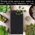 Hubuki Tiny Little Seeds Saver Envelopes, 100 Pack Mini Paper Seed Envelopes (2.25"X3.5", 50 Black+50 White)