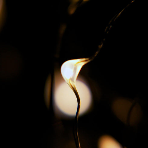 2 Sets of 20 LEDs Warm White String Lights, Silver Wire, Indoor and Outdoor, 6.5 Feet