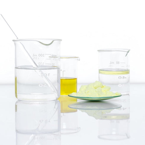 YOKIVE 6 Pcs Watch Glass Beaker Cover - Lab Watch Glasses Cover Lids for Science Chemical Experiment