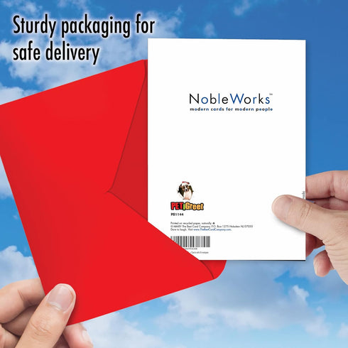 NobleWorks Pack of 12 Funny Christmas Greeting Cards with Envelopes, Humor Holiday Design