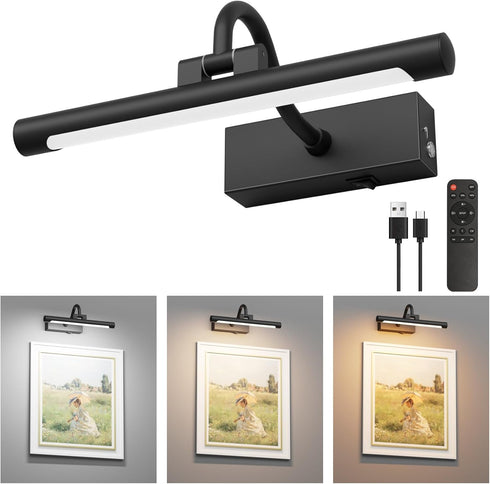 Aipsun 11.8" Picture Lights for Wall Rechargeable,10000mAh Battery Operated Art Light for