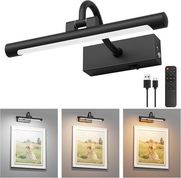 Aipsun 11.8" Picture Lights for Wall Rechargeable,10000mAh Battery Operated Art Light for