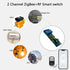 Jane Eyre Tuya Smart ZigBee 2 Channel Smart Relay, 433 RF Remote Control, for Alexa Google Home