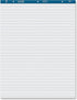 Business Source 38590 Easel Pad, Ruled, 50 Sheets, 27-Inch x 34-Inch, 2/CT, White