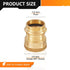 10-Pack Brass Press Fitting Adapter, 1/2" Press X 1/2" Female NPT Adapter, LF Brass