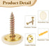 uxcell 8 16.8 mm Pcs Decorative Caps Cover Nails, Zinc Alloy Screw Covers Caps Mirror Fixing Screws for Mirrors, Coffee