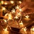 WFGGEH 10ft 20 WLD0006 Flower String Lights, LED USB Powered Cherry Blossom Fairy String Lights for Party Birthday