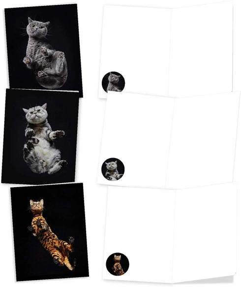 The Best Card Company - 20 Adorable Cat Greeting Cards (4 x 5.12 Inch) - Blank Assortment (10 Designs, 2 Each)